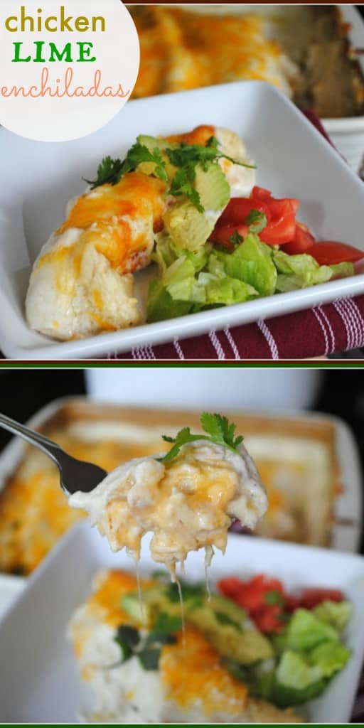 Chicken Lime Enchiladas. These are SO DELICIOUS and easy to make!