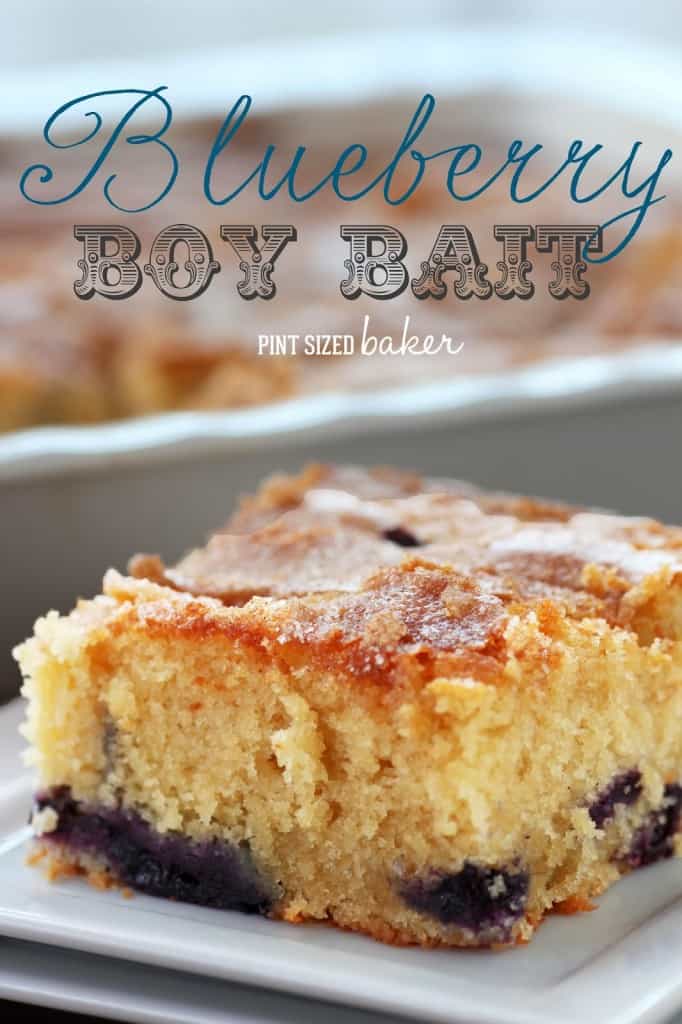 1 ps Bluberry Boy Bait (8)