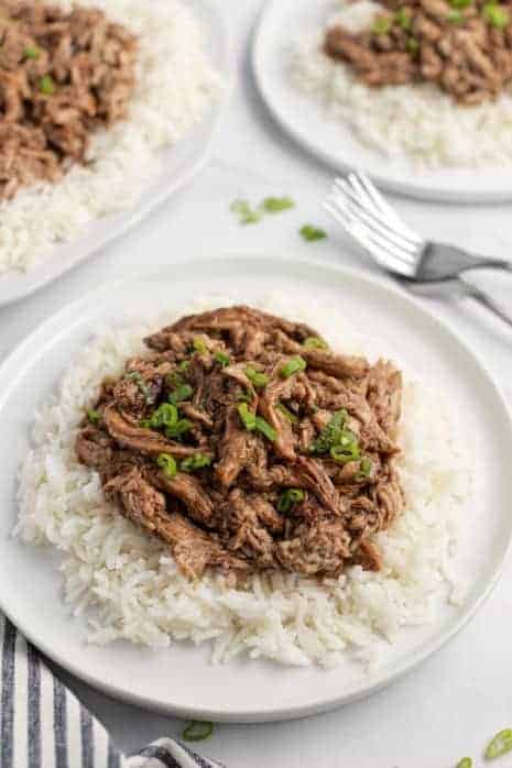 White plate with white rice and shredded balsamic pork tenderloin topped with green onions.