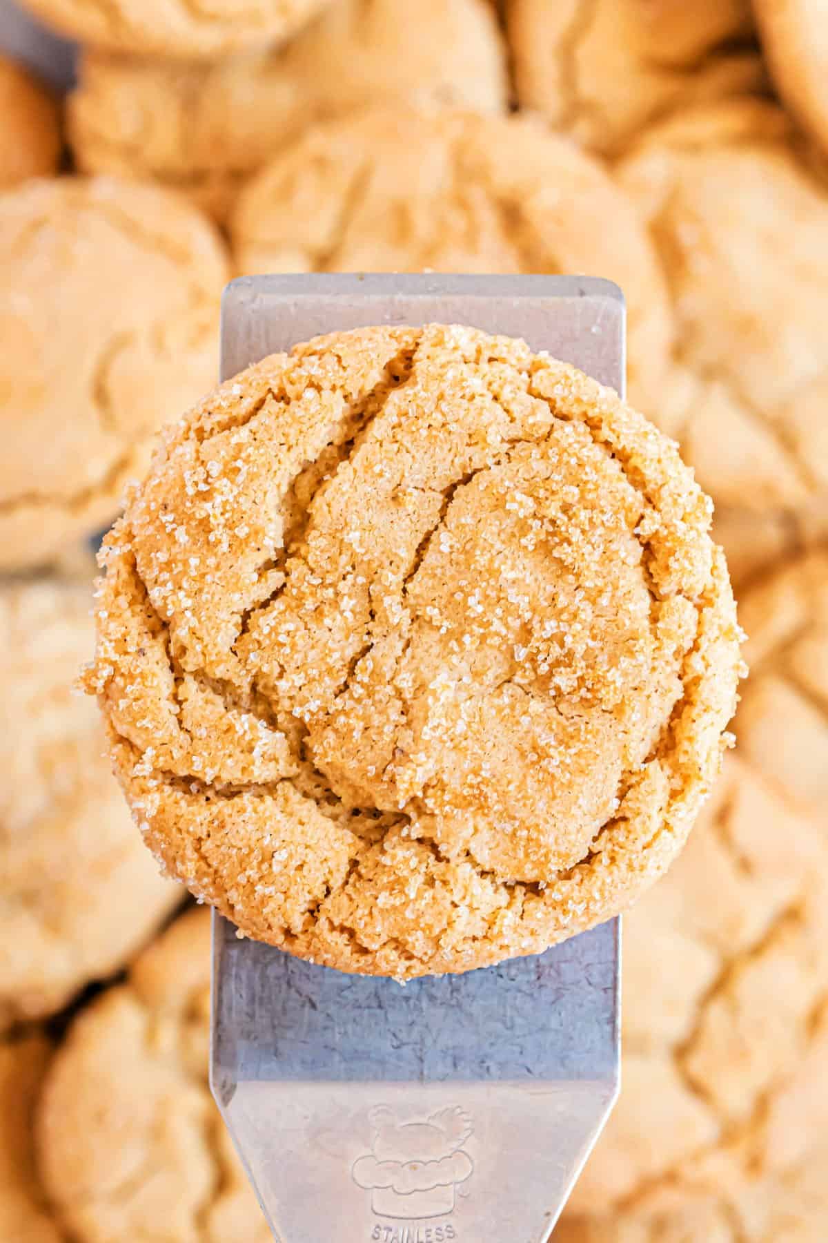 Cookie on a spatula.