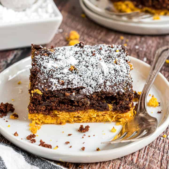You'll love this easy Chocolate Pumpkin Cake recipe for a quick dessert. Super moist and flavorful, this snack cake is delicious served warm or room temperature.