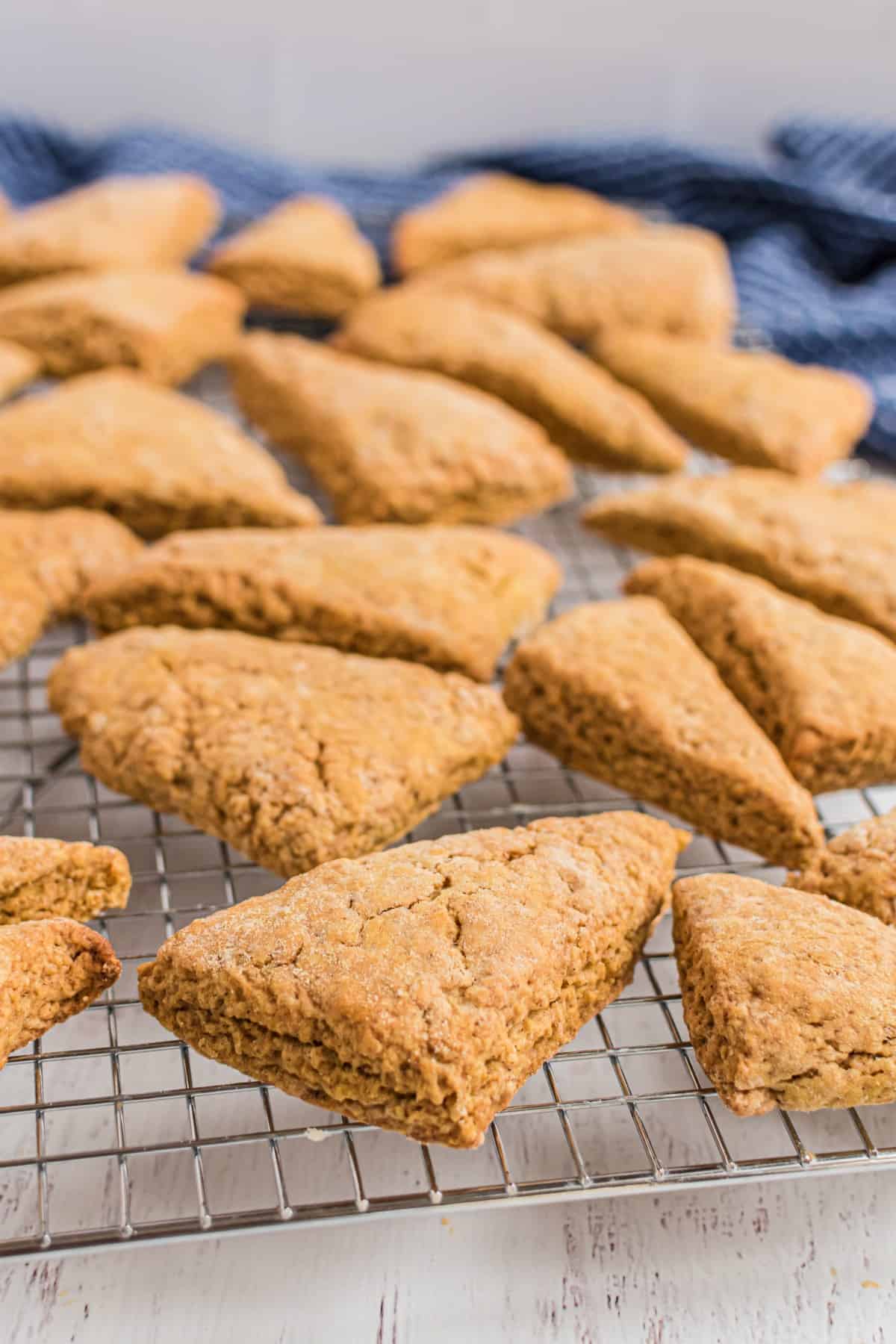 Pumpkin scones on a wire rack with no glaze.