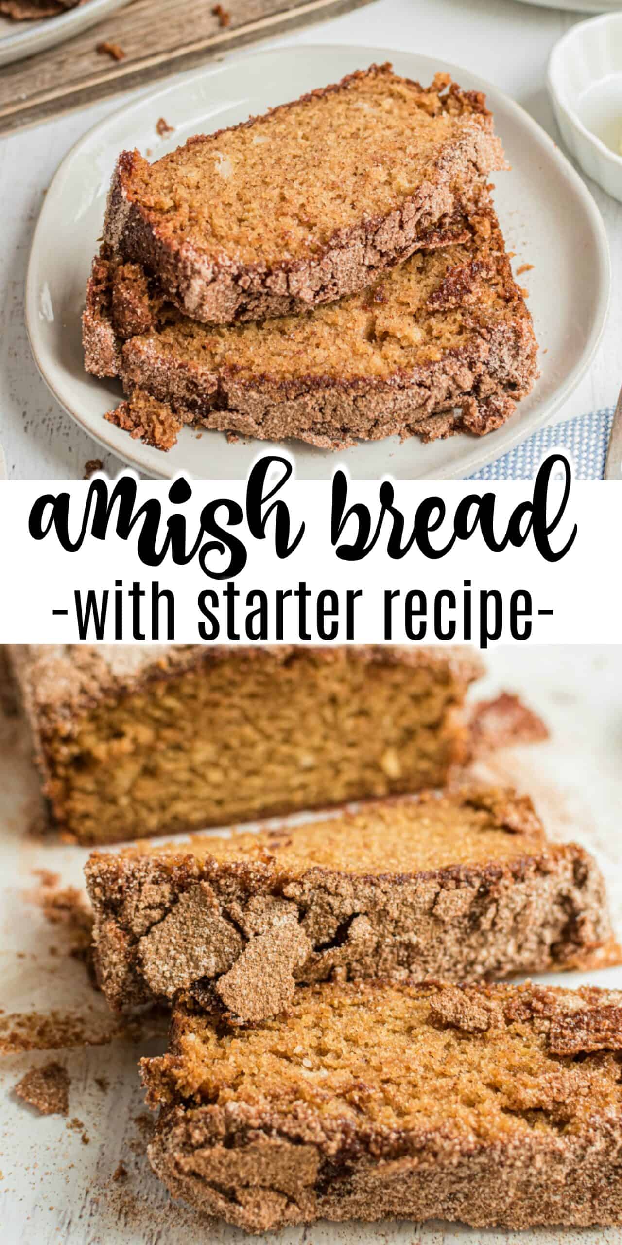 Amish Friendship Bread Recipe {with starter}- Shugary Sweets