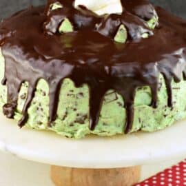 Chocolate cake covered in mint chocolate chip frosting and chocolate ganache on a white cake stand.