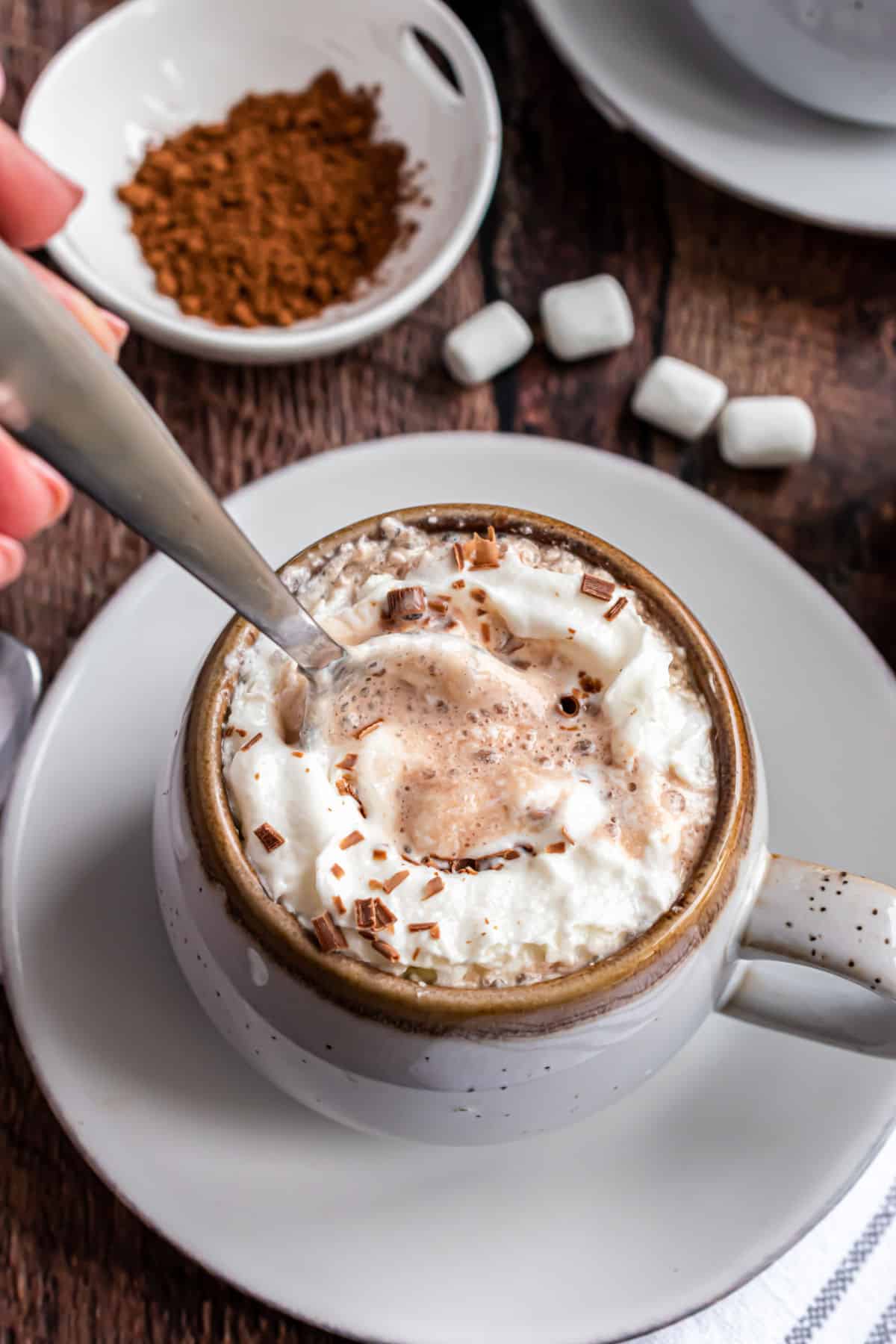 Homemade hot cocoa in a ceramic mug topped with whipped cream.