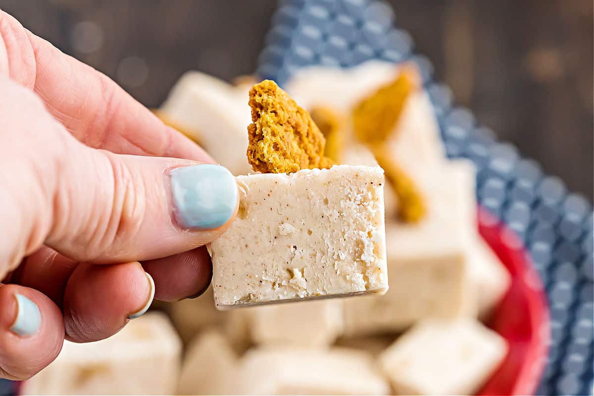 Piece of apple fudge with a gingersnap crumb on top.