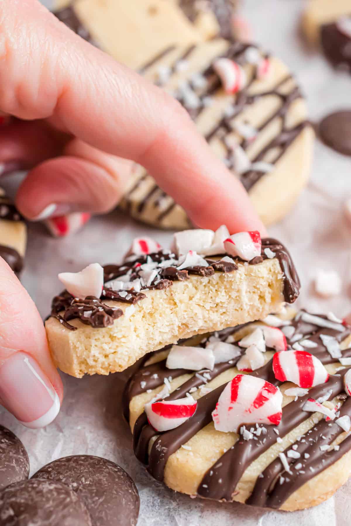 Shortbread cookie with a bite taken out.