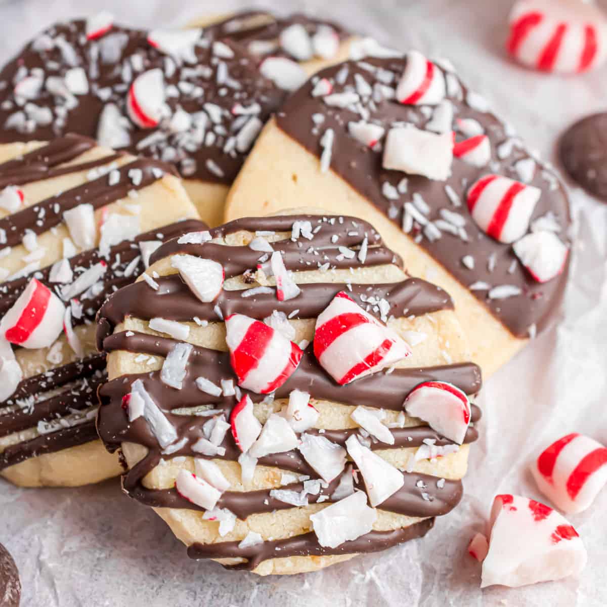 Turn a simple shortbread cookie into a holiday delight! This Chocolate Peppermint Shortbread recipe features a buttery cookie dipped in melted dark chocolate and sprinkled with crushed peppermints. Make a batch of these for Christmas and watch them disappear!
