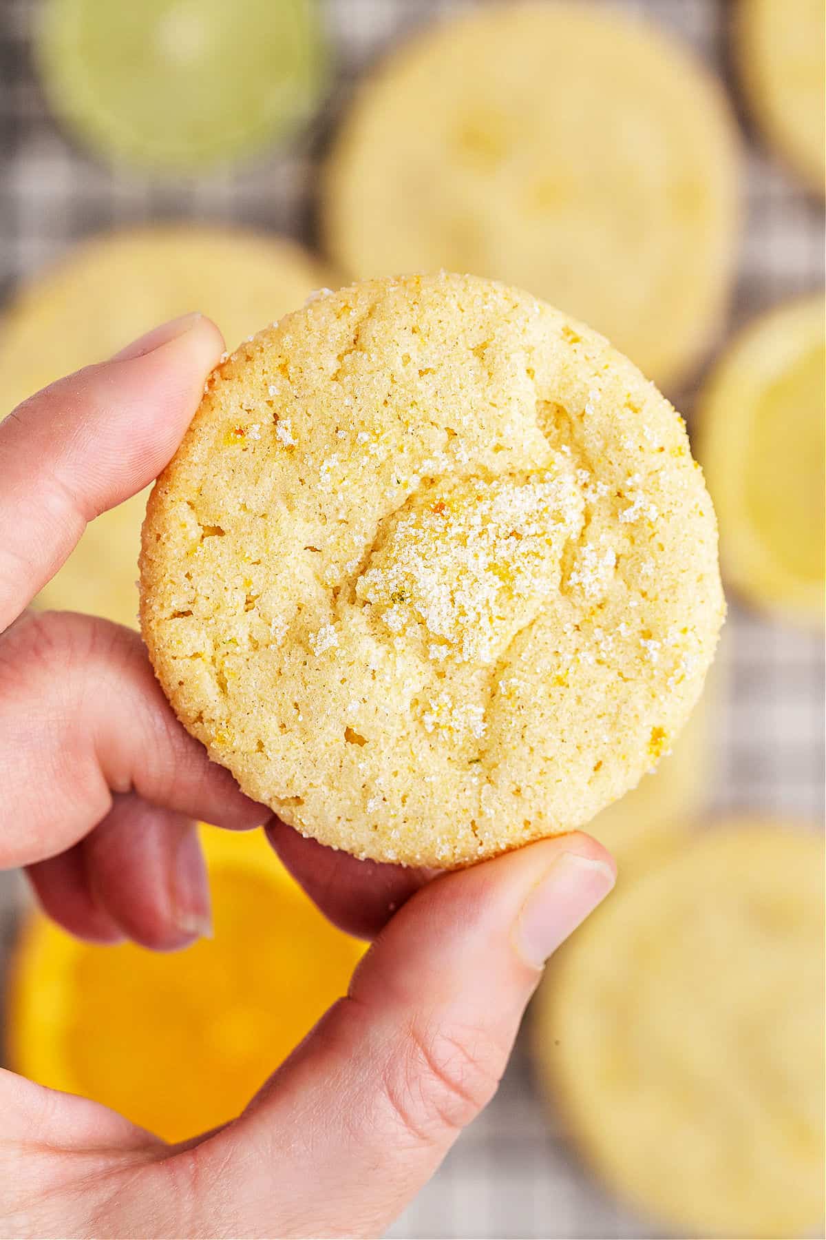 Sugar cookie with citrus flavor being held up.