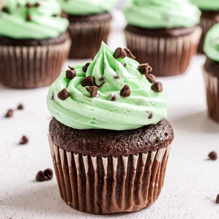 Mint Chocolate Chip Cupcakes Recipe - Shugary Sweets