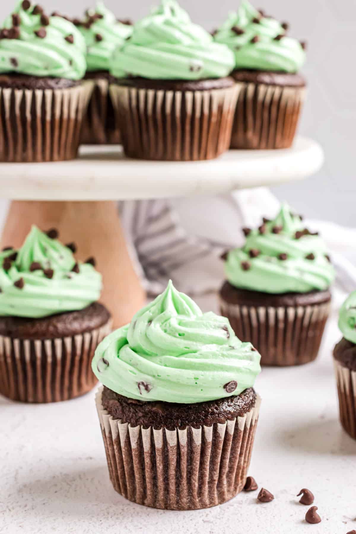 Chocolate cupcakes with green mint chocolate chip frosting.