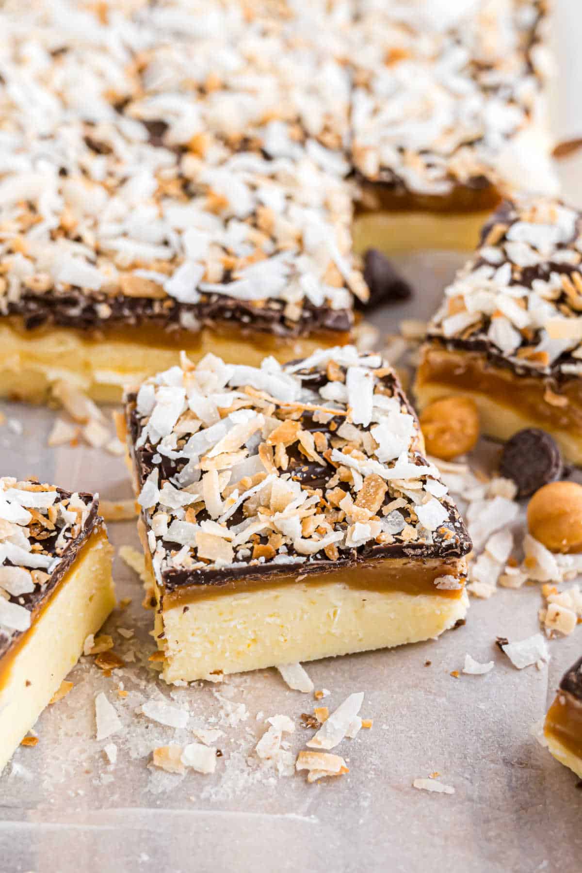 A close-up of Samoa fudge dessert bars topped with chocolate, toasted coconut flakes, and butterscotch chips.