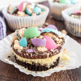 Mini cheesecake topped with chocolate ganache and malt ball candy.