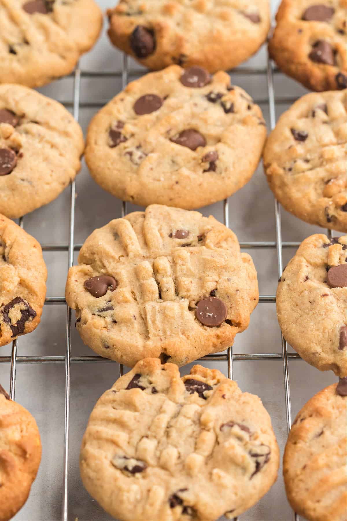 Peanut butter chocolate chips with criss crossed pattern on top, on a cooling rack.