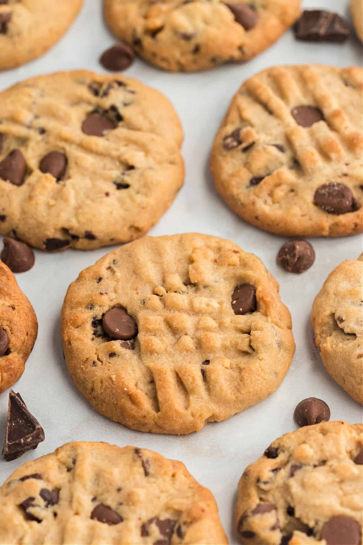 Peanut butter cookies with chocolate chips cooling on a piece of parchment paper.