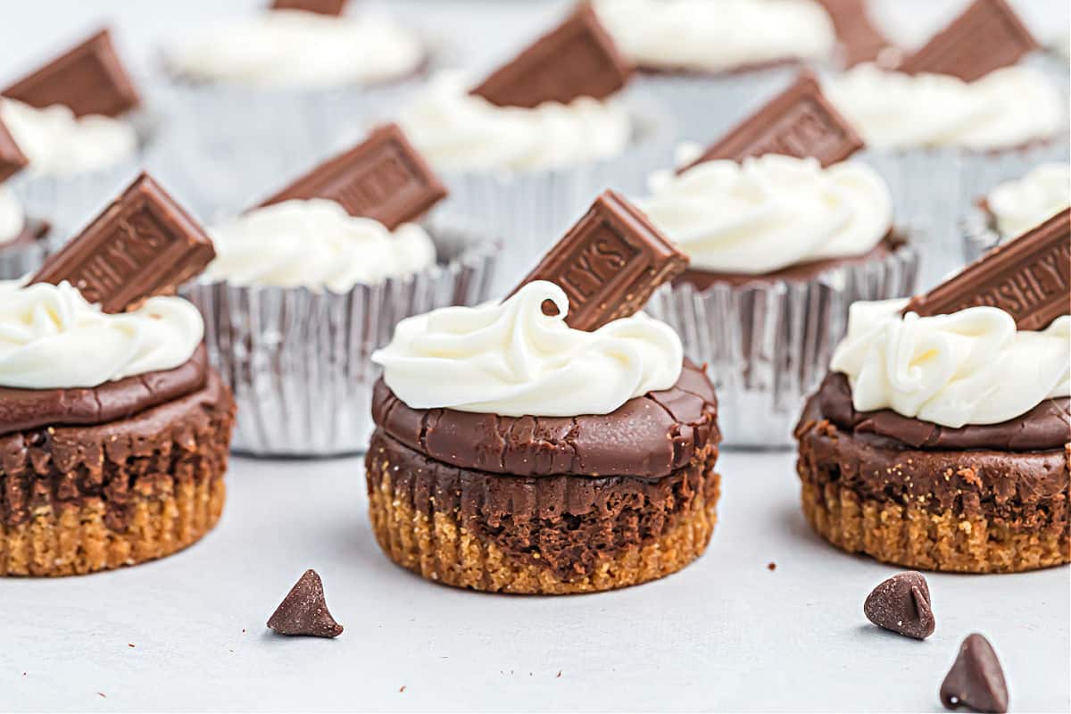 Chocolate mini cheesecakes topped with ganache, marshmallow frosting and hershey bar.