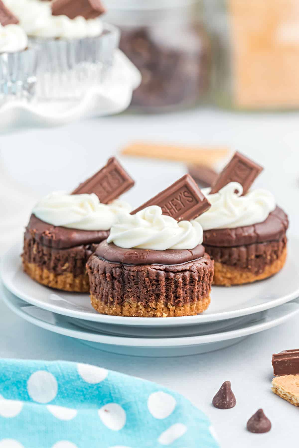 S'mores cheesecakes on a white plate for serving.