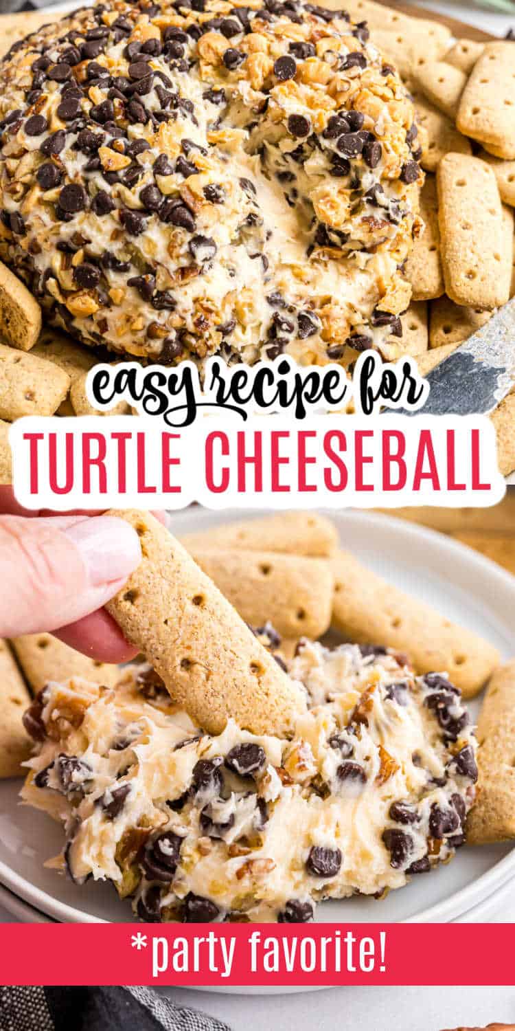 A decadent turtle cheeseball coated with chocolate chips and nuts, served alongside graham crackers for dipping—an irresistible treat for turtle cheeseball lovers.