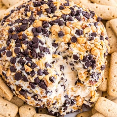 A turtle cheeseball coated with chocolate chips and nuts, surrounded by rectangular cookies, with a wedge removed.