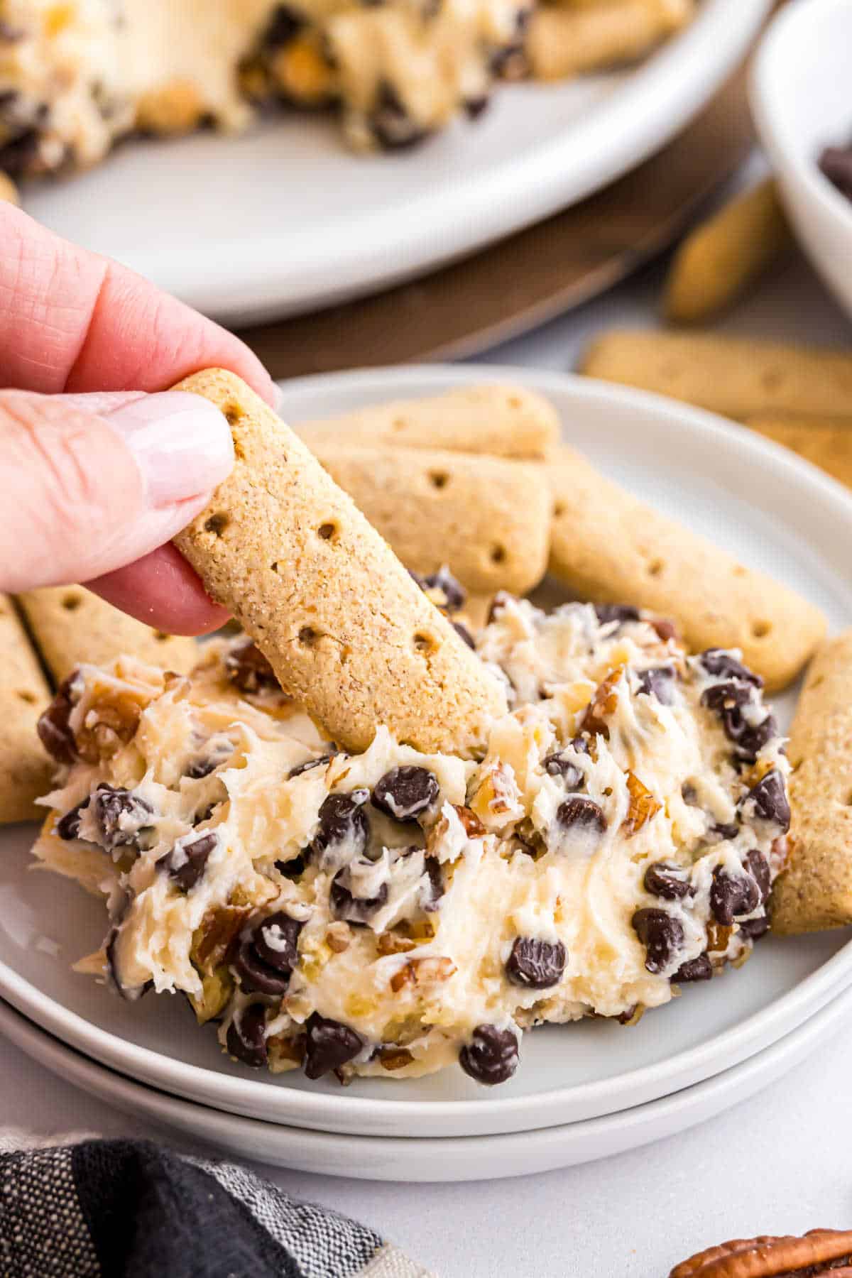 A hand dips a shortbread cookie into a creamy turtle cheeseball dessert with chocolate chips and pecans on a plate.