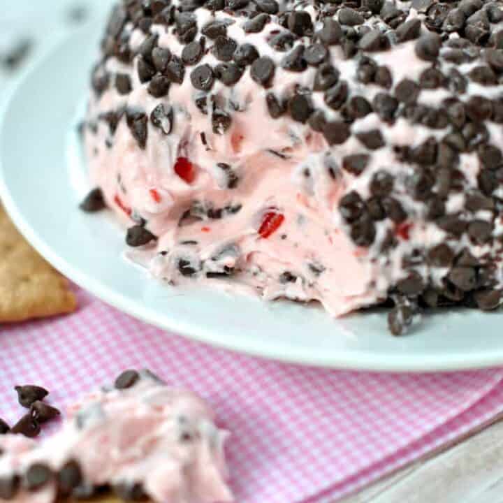 Cherry Chocolate Chip Cheeseball