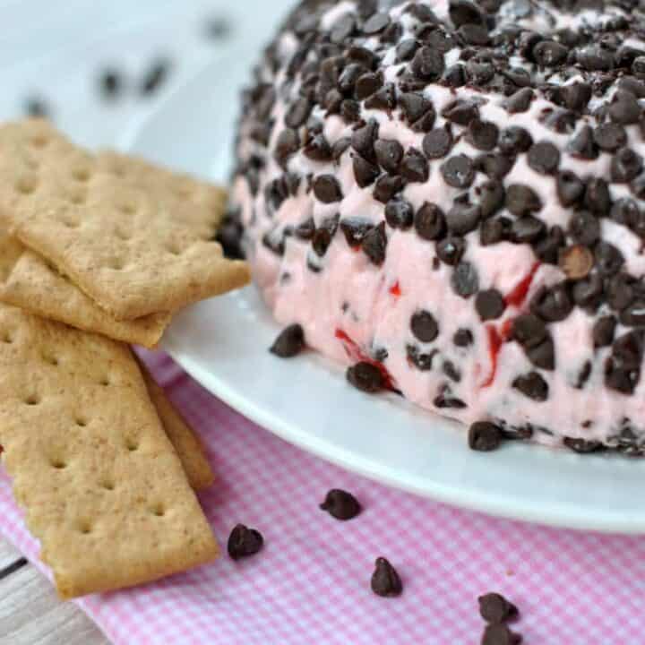 Image for Cherry Chocolate Chip Cheeseball