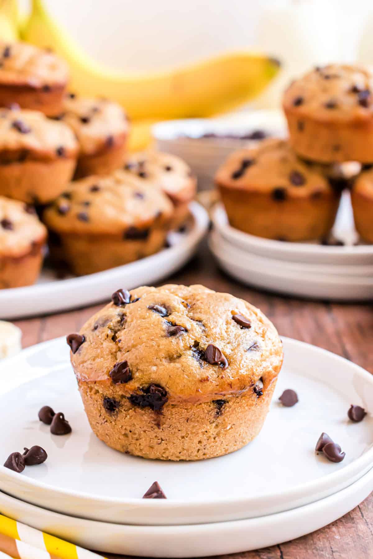 Chocolate chip muffin on a white plate.