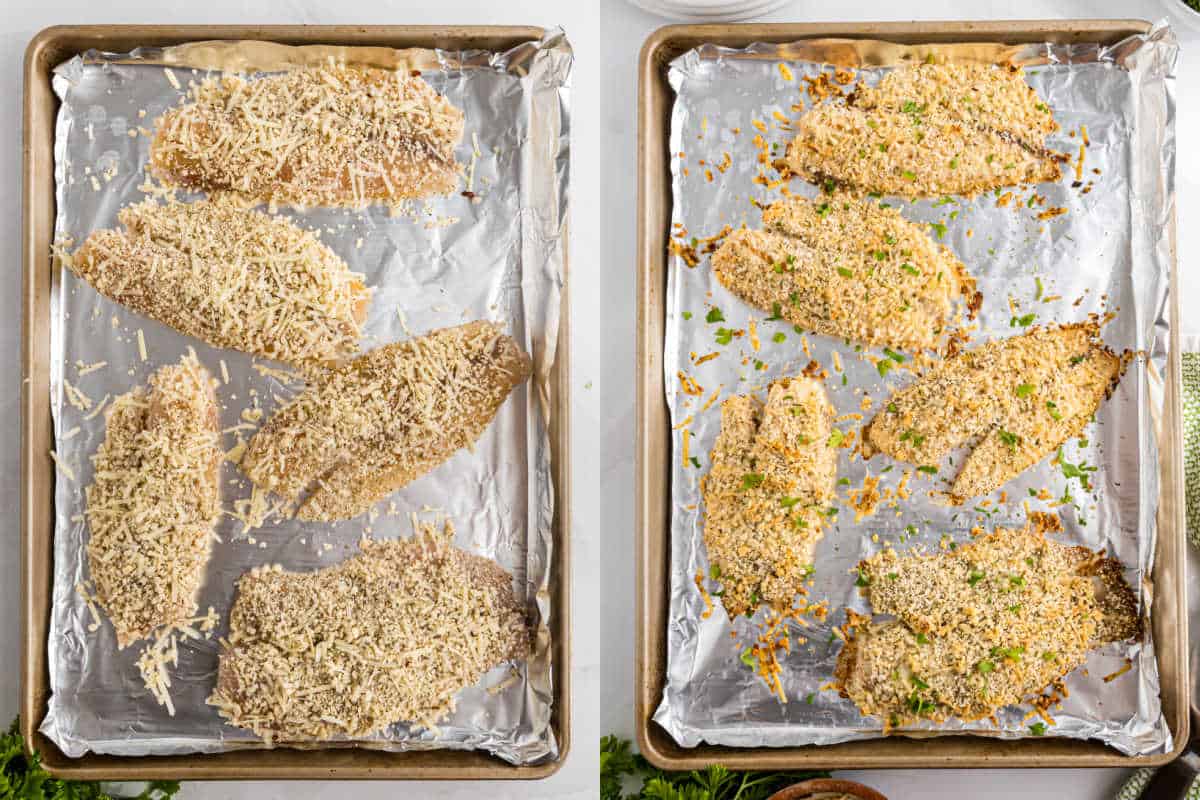 Side-by-side photos of parmesan crusted tilapia fillets on a baking sheet, shown before and after baking, garnished with fresh herbs.