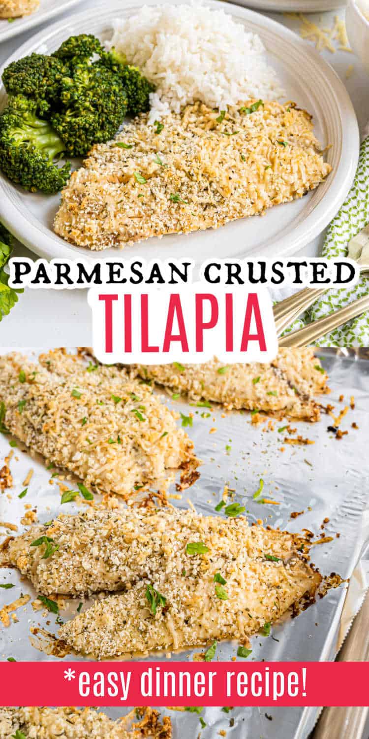 Parmesan crusted tilapia fillets served with broccoli and rice on a plate, plus extra parmesan-crusted tilapia fresh from the baking sheet.