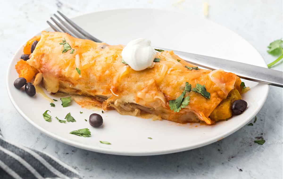 Butternut squash enchilada served on a white dinner plate.