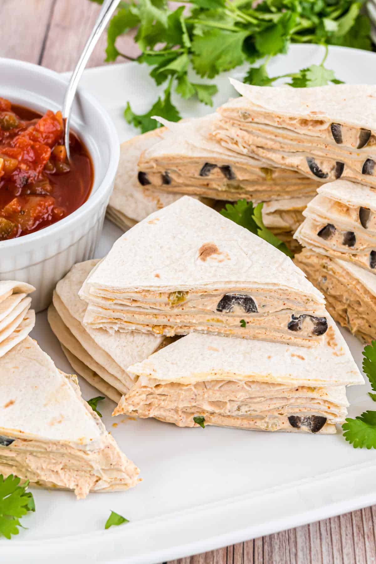 Taco tortilla triangles stacked on a white platter with salsa.