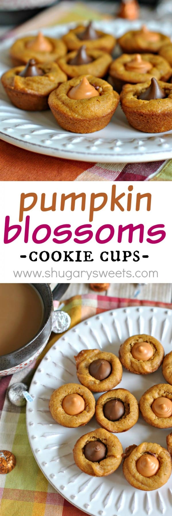 Pumpkin Blossoms Shugary Sweets