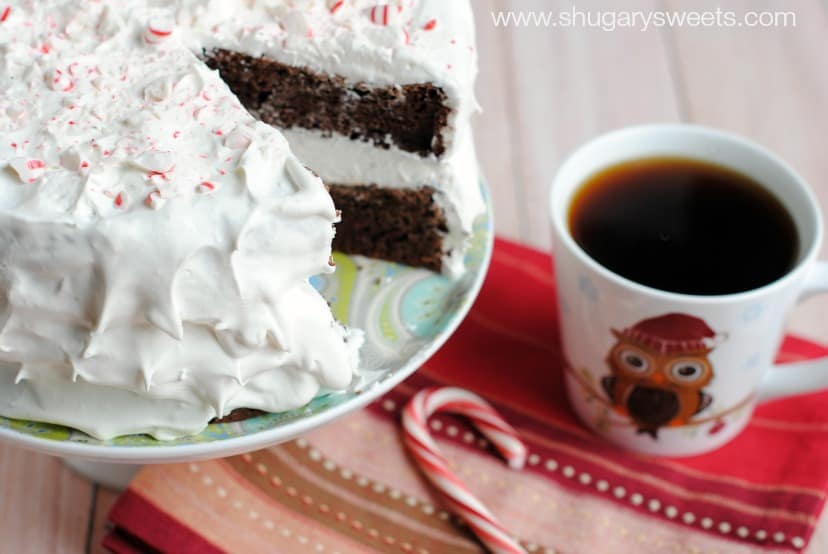 Chocolate Candy Cane Cake: no one will know it started from a box mix! So rich, fudgy, and full of peppermint candy!