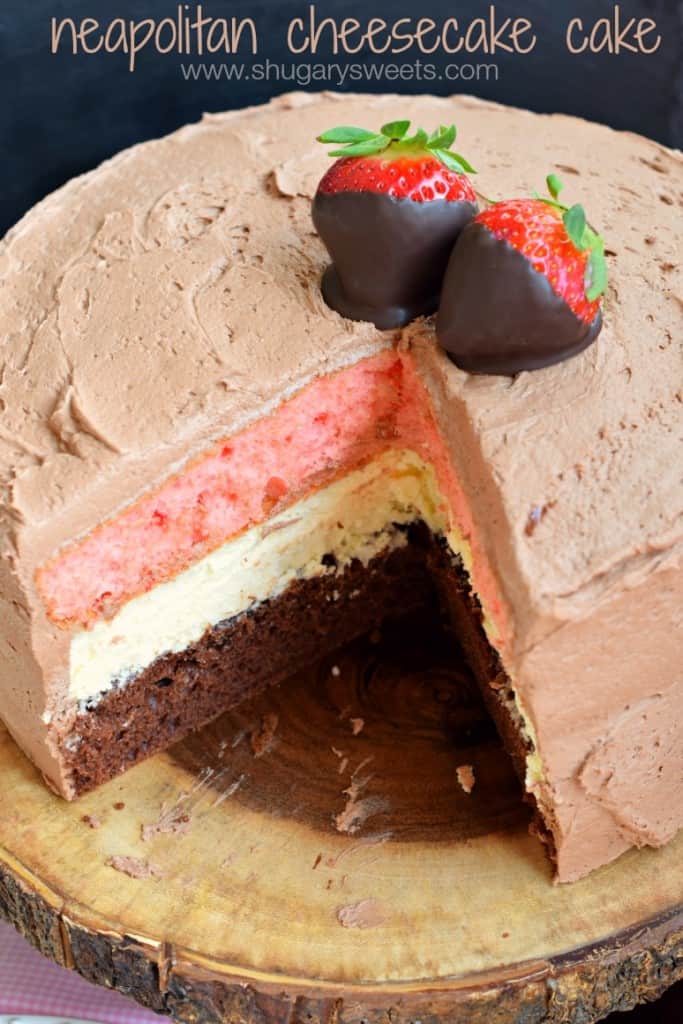 Neapolitan Cheesecake Cake: a layer of chocolate cake and a layer of strawberry cake with a cheesecake center. All wrapped in a fluffy chocolate buttercream frosting!