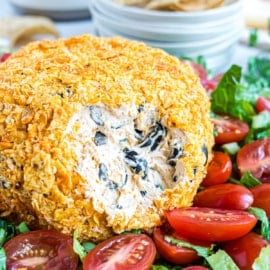 Taco Cheese Ball is an easy cheesy appetizer rolled in tortilla chips! Taco seasoning and jalapeno transform ordinary cream cheese dip into a crowd pleasing party snack.