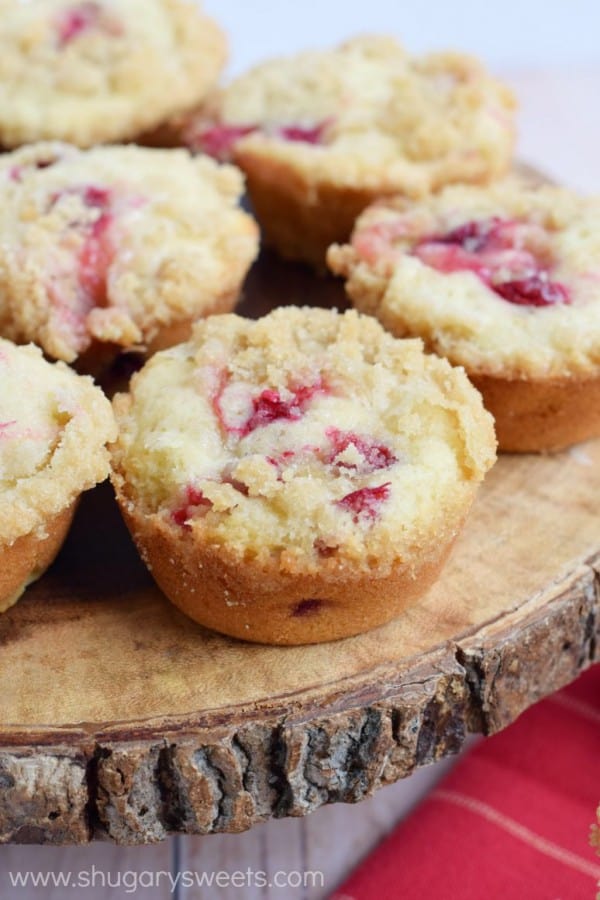 Perfectly moist and flavorful Cranberry Apple Muffins. Topped with a buttery streusel, these are great for breakfast, or store them in the freezer for later!!