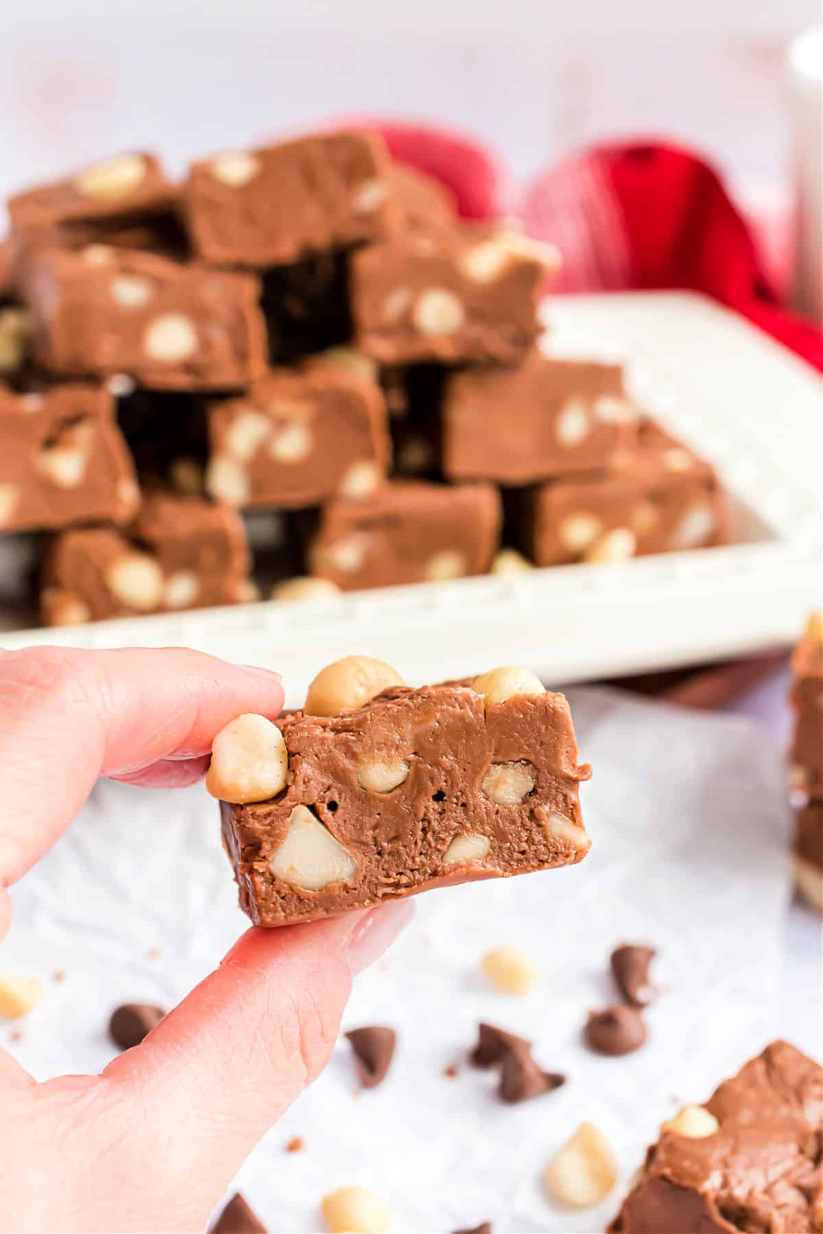 Bite of macadamia nut fudge.