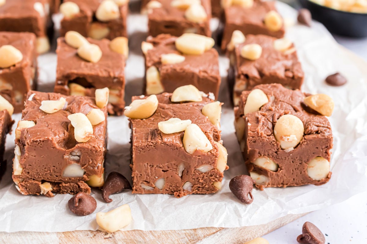 Chocolate fudge with macadamia nuts cut into squares.