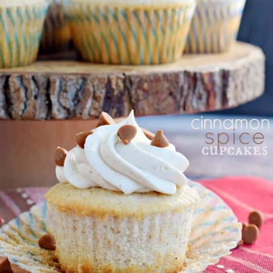 Best Spice Cake Recipe 35 Easy Thanksgiving Desserts Best Recipes beyond the pie Best Spice Cake Recipe 35 Easy Thanksgiving Desserts Best Recipes beyond the pie