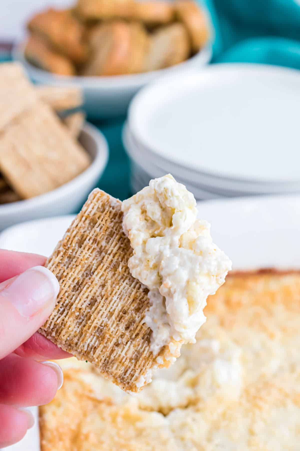 Warm artichoke dip scooped with a triscuit cracker.