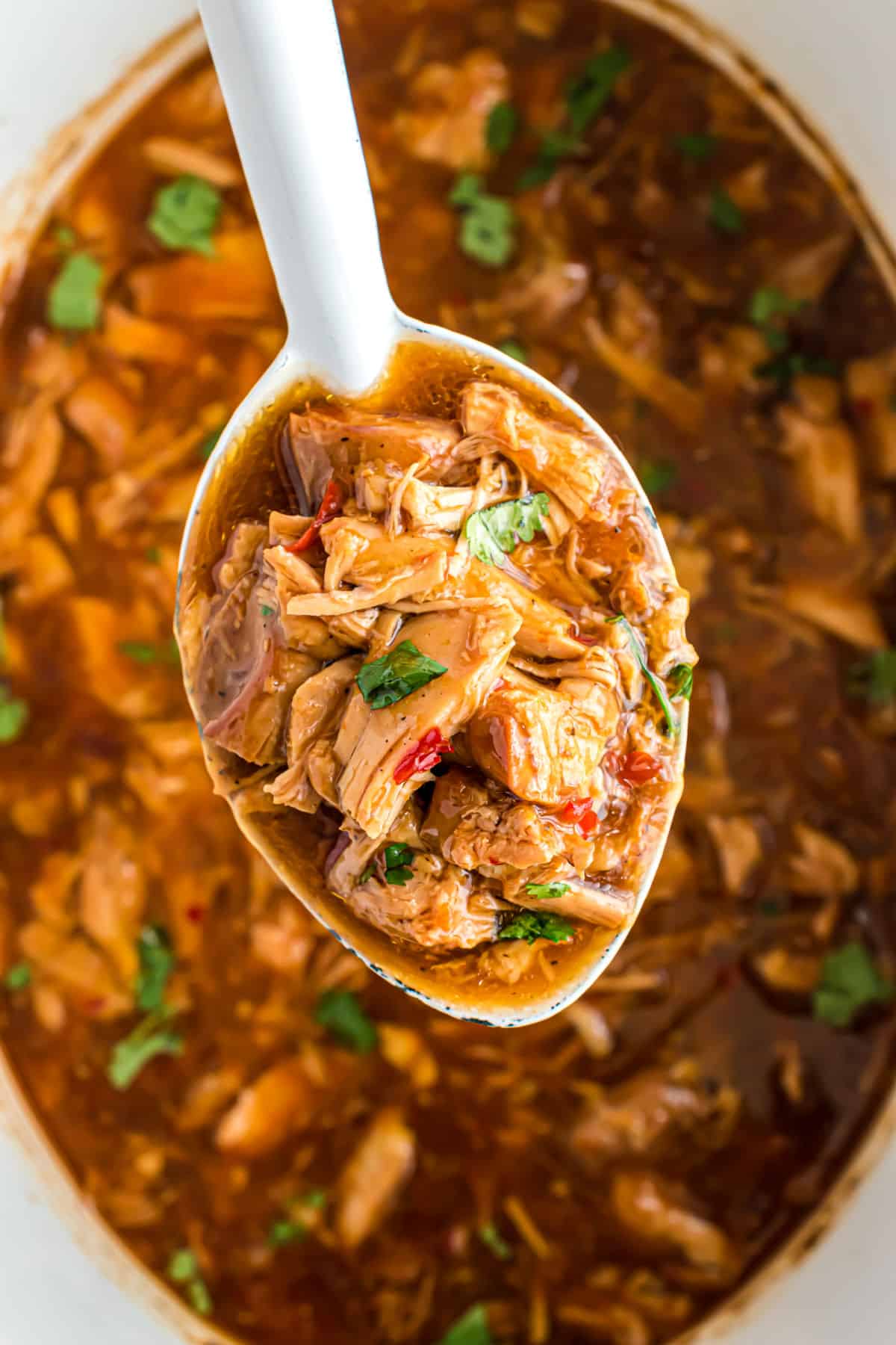 Slow cooker with shredded chicken on a spoon.