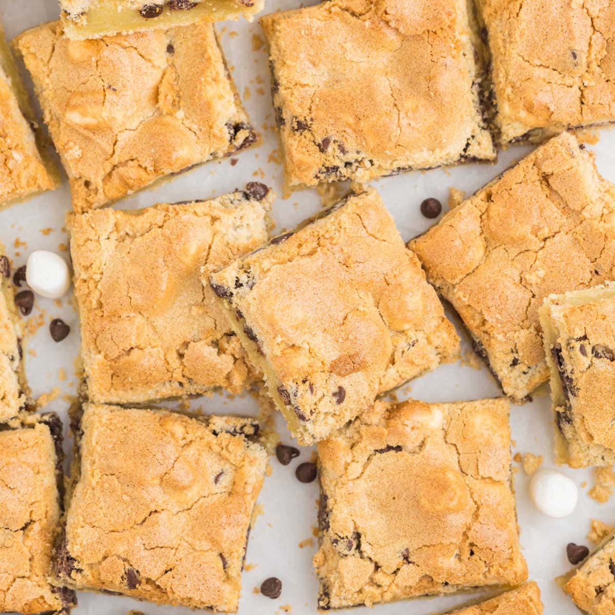 Mud Hen Bars Recipe