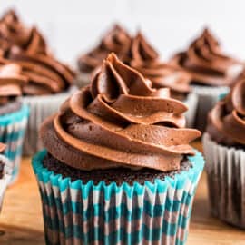 Chocolate cupcakes topped with swirls of chocolate frosting.