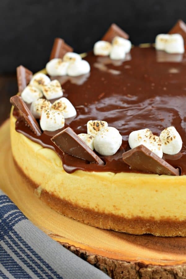 Baked Vanilla Cheesecake with s'mores toppings