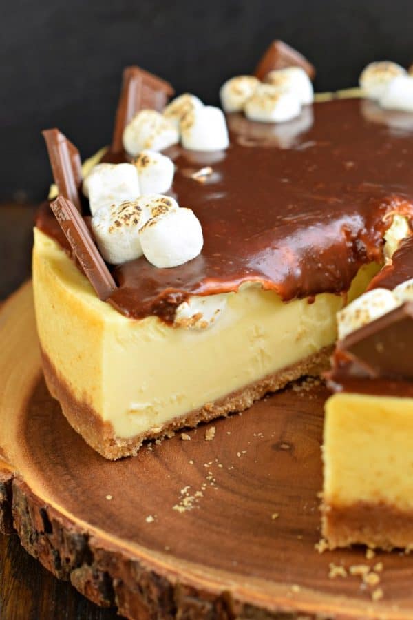 perfect slice of smores cheesecake recipe