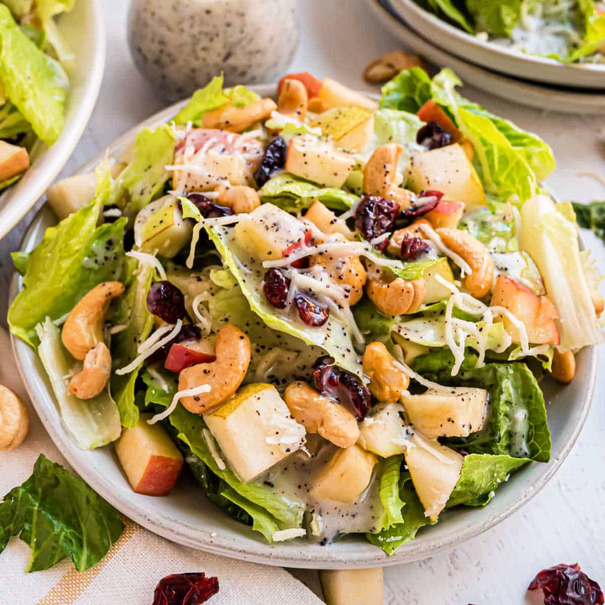 Harvest Salad and Lemon Poppy Seed Dressing Recipe