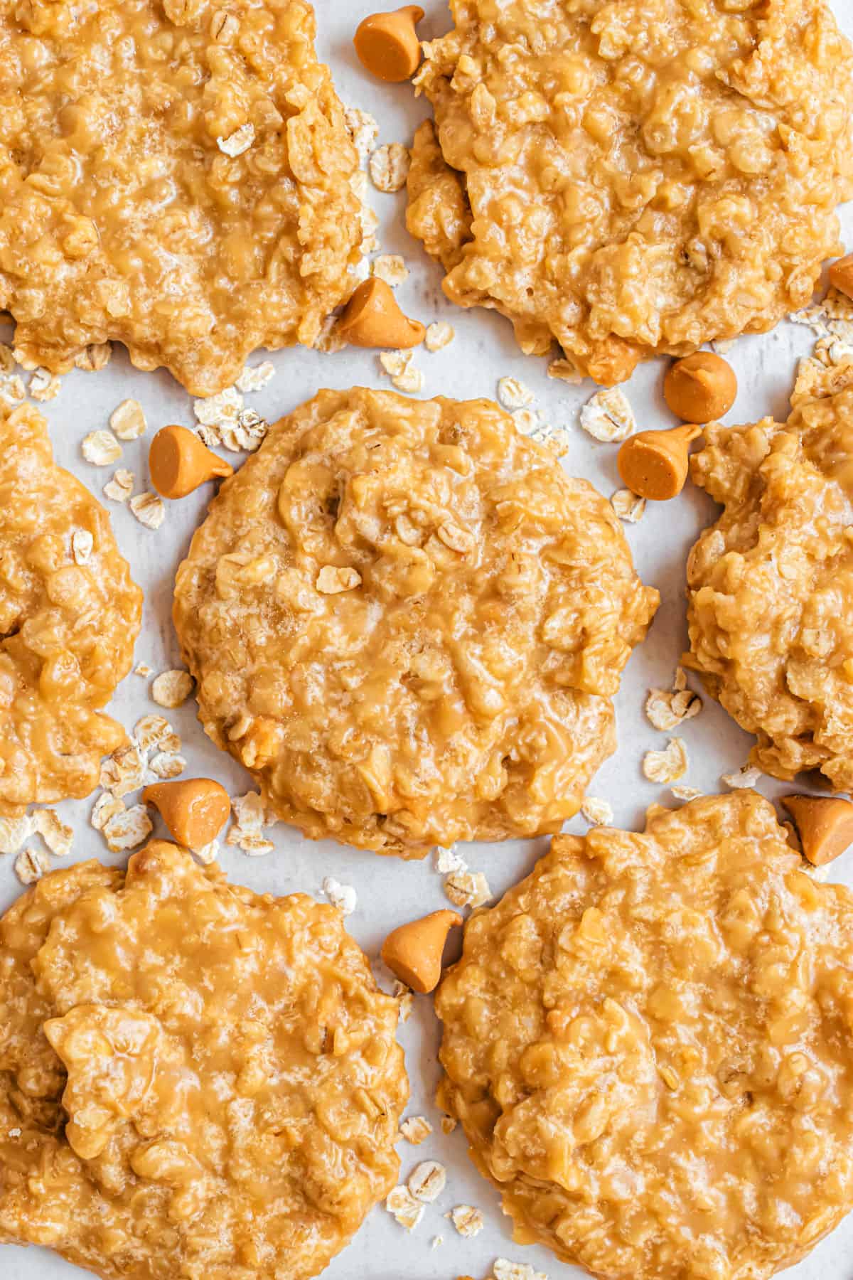 Oatmeal butterscotch cookies on parchment paper.