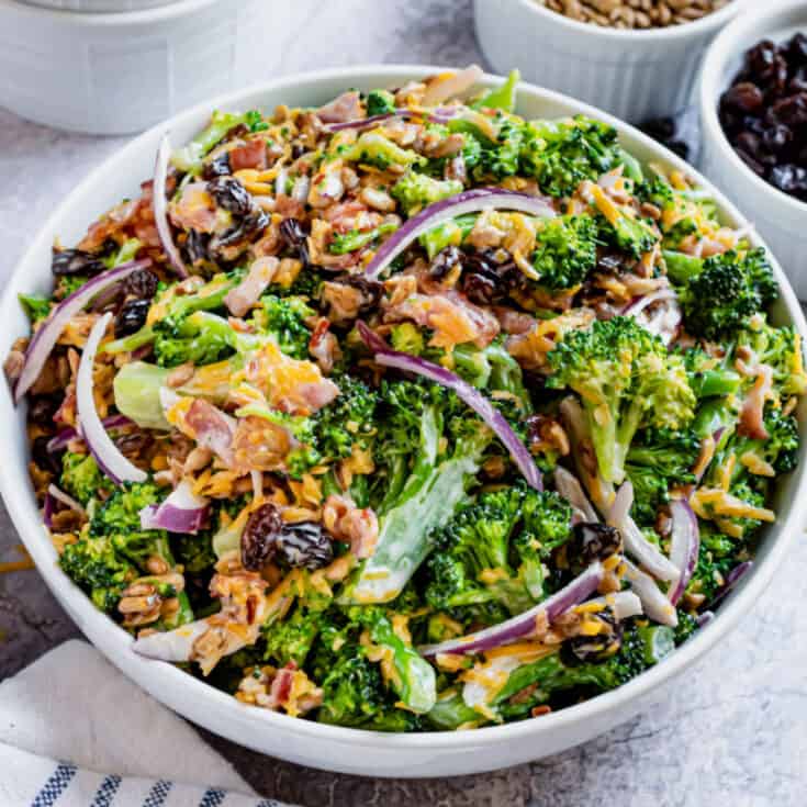 The Best Broccoli Salad Recipe Shugary Sweets