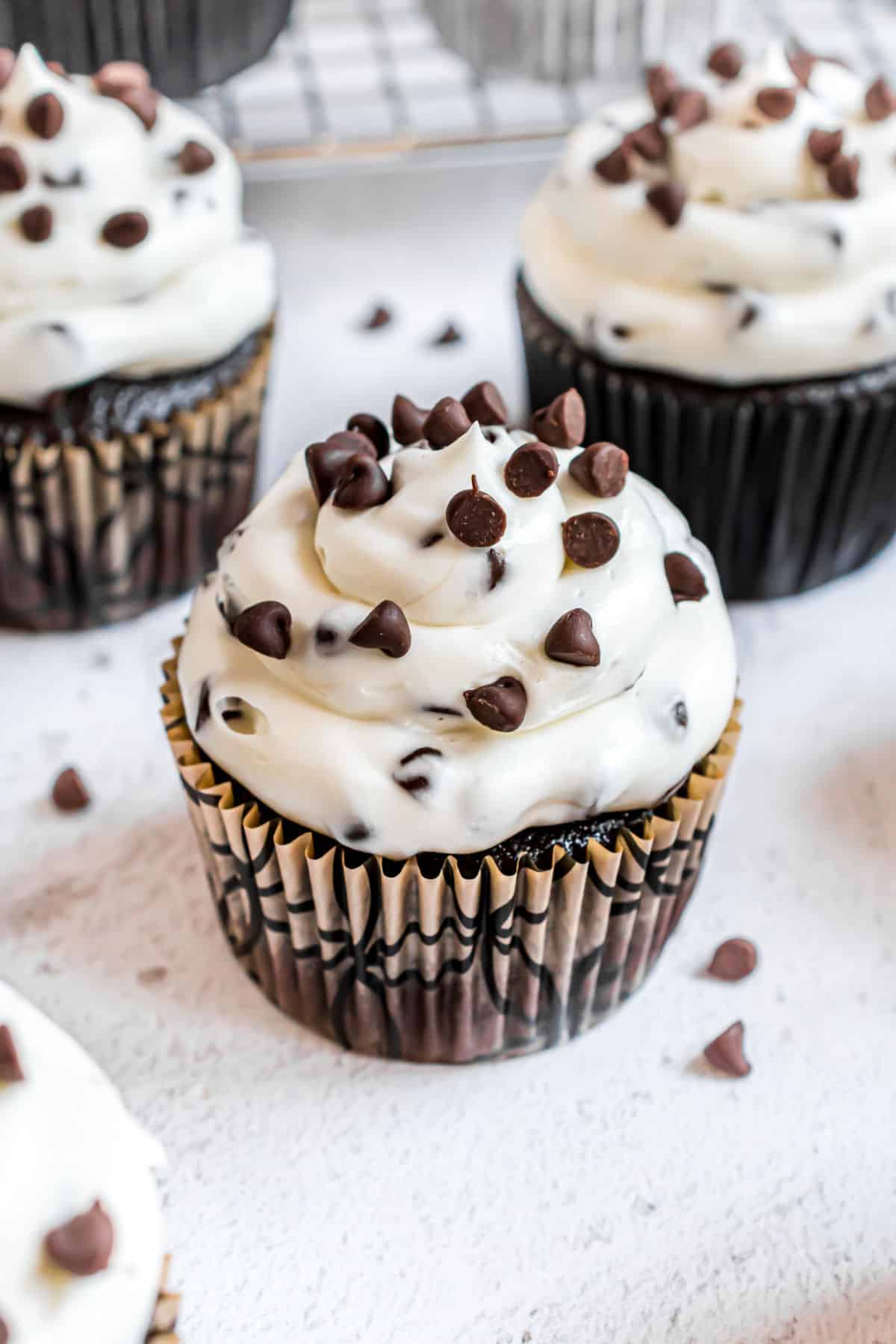 Chocolate cupcakes with cheesecake frosting and mini chocolate chips on top.