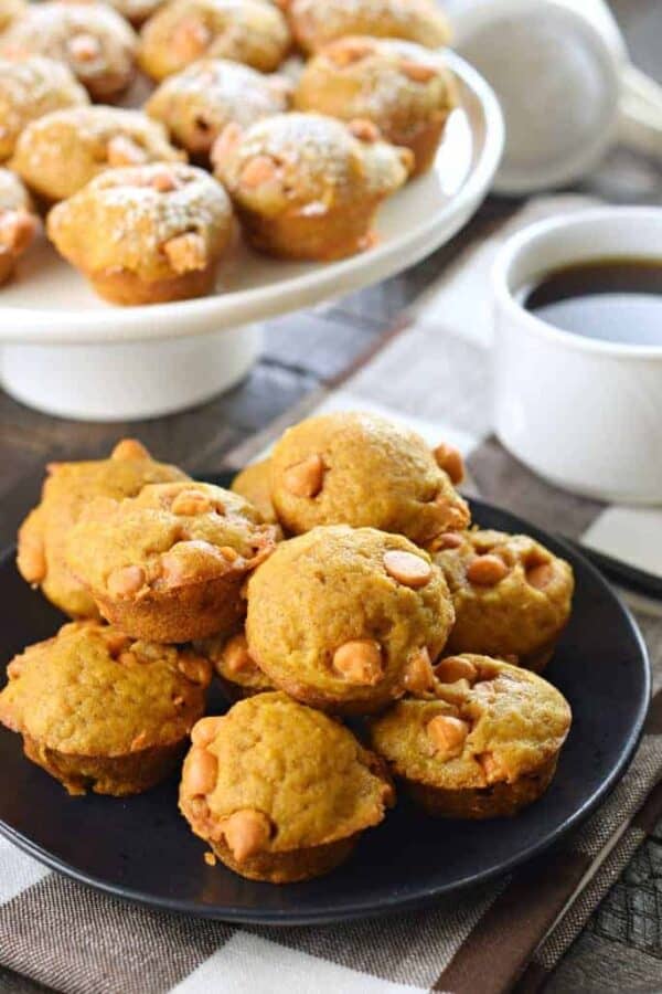the best mini pumpkin butterscotch muffins recipe